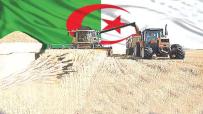 الجزائر الجديدة تحصد ثمار الاستقلال الاقتصادي