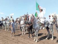 مهرجان سيرتا يُشعل روح التنافس بين الفرسان