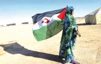 الجرائم المغربية علـى طاولـــة المفوّضيـة السّاميـة لحقـوق الإنسان