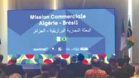 الجزائر-البرازيل.. بناء شراكات بناءة ومستدامة وفق “رابح-رابح”