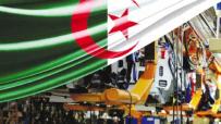 توازن ذكي بين الاستيراد والإنتاج المحلي لتحسين القدرة الشرائية