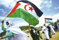 المغرب يمعن في طرد المراقبين الدوليين من الصحراء المحتلة
