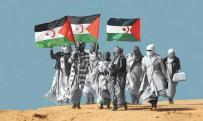 القضية الصّحراوية  تحقّق زخما قويا في مجلس حقوق الانسان