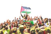 المخزن الكولونيالي.. بُهتان في النزع الأخير