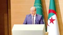 الجاليات الإفريقية..كفاءات وخبرات في خدمــة القـارة
