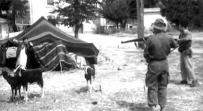 مأساة 08 ماي 1945..في ضوء نماذج من الأرشيف