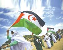 سلسلـة وثائقيـة تفضح نهــب المخزن للـثروات الصّحراويـــة