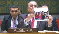 الجزائـر عازمـة علـى تحريك مجلس الأمن لوقف جرائم الصهاينة