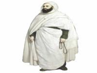 الأمير عبد القادر في مرآة الفكر الأركوني