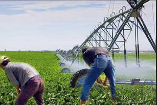 سكان قرية بريش يطالبون بحقهم في التكفل بانشغالاتهم