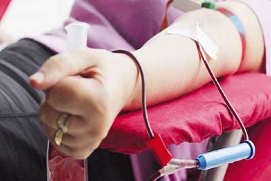 69٪ من الدم مصدره المتبرعون المتطوعون بالجزائر