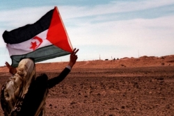 الصحراء الغربية: الاتحاد الأوروبي يشجع كل الأطراف على الالتزام بحل يتوافق مع توجيهات مجلس الأمن