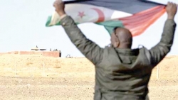 البوليساريو تحمّل الأمم المتحدة مسؤولية العنف الوحشي