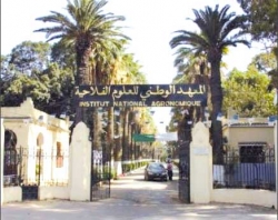 نمتلك طاقات في الصّناعة التّحويليّة لزيت «الصوجا» ومواد التّنظيف والتّشحيم