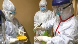 إصابة 1700 شخص من العاملين في القطاع الصحي بفيروس «كورونا»