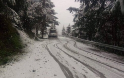 تساقط الثلوج يتسبب في غلق الطريق الوطني 37 بين الشريعة والبليدة