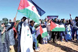 نشطـاء يسلّطون الضّوء علـى معانـاة الصّحراويّين