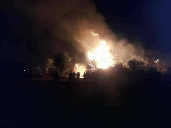 إيليزي: حريق يتلف أزيد من 960 شجرة بالمحيط الفلاحي لبلدية برج عمر إدريس