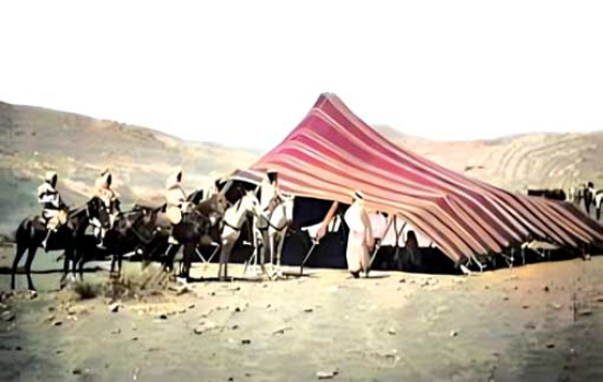 جبـل بوكحيـل ..ذاكرة مضمخة بعبق البارود