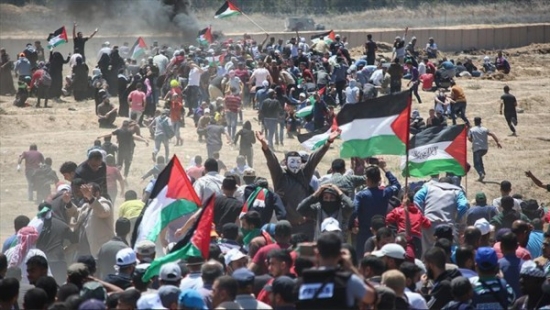 فلسطين المحتلة: 180 مصابا في مسيرة العودة شرقي قطاع غزة