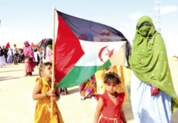 انتهاكات الاحتلال ضد الصّحراويّين ترقــــى إلـــى جرائــم ضــد الإنسانيـــة