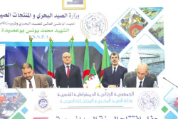 التّكوين يسهم في رفع القــدرات الإنتاجيـــة للصّيـد البحــري