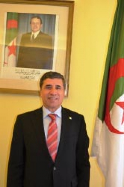 الجزائر تدعو لإيجاد بدائل لسياسات الهجرة الانتقائية