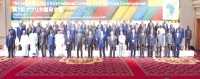 الاتحاد الأفريقي يجدّد إستعداد دوله لتعزيز التعاون مع «التيكاد»