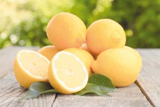 أسعار الليمون تقفز إلى 550 دج بأسواق باتنة