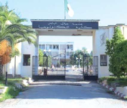 سيـدي بلعبـاس.. فتح تخصّصات جديدة لمواكبـة سوق العمـل