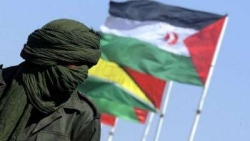 الأمم المتحدة تمدد لبعثتها في الصحراء الغربية وتدعو لمفاوضات دون شروط