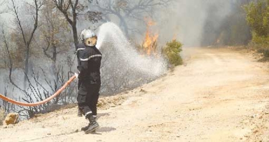 اندلاع الحرائق في محمية الشريعة وفلاحون يناشدون المساعدة
