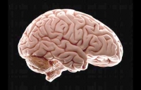فيروس كورونا يصيب الدماغ بعشرة أعوام من الشيخوخة