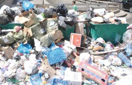 أزيد من 500 طن من الّنفايات المنزليّة تم رفعها بتبسة