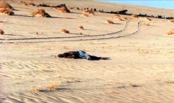 النيجر : وفاة 52 مهاجرا غير شرعي في الصحراء