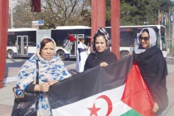 إرغام الاحتلال المغربي على الامتثال للشرعية الدولية مسؤولية أممية