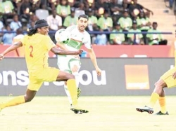 امكانية نقل مباراة زيمبابوي  - الجزائر إلى جوهانسبورغ