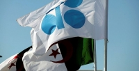 الجزائر توجه دعوة لدول الاوبك بتقديم موعد اجتماع أوبك إلى 4 جوان
