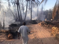 ورقلة: حريق يتلف نحو 250 نخلة بحي إفري