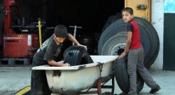 زمالي : الجزائر في صدارة الدول التي تحارب العمالة ضد الأطفال