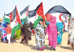 مخرجات قمّتي إفريقيا - الكاريبي تجــدّد دعمها لتقريـر المصــير