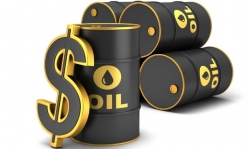 أسعار النفط تظل قرب أعلى مستوى لها منذ شهور