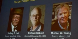 نوبل للطب لعام 2017 : ثلاثة أمريكيين يفوزون بالجائزة