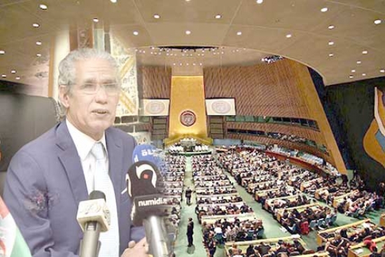 الجمعية العامة الأممية تؤكد مسؤولياتها تجاه الشعب الصحراوي