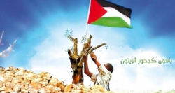 الشعب الفلسطيني ماض في كفاحه لتحرير الوطن