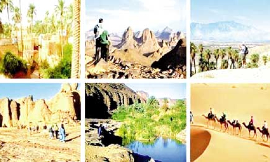 مهرجان تيميمون.. سياحة وثقافة