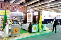 منصة استراتيجية للتكامل الإفريقي
