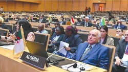 3 قناعات للجزائر بشأن انتخابات مفوضية الاتحاد الإفريقي