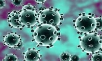 فيروس كورونا: تسجيل 4 حالات إصابة جديدة ليرتفع العدد إلى 12 حالة مؤكدة بالجزائر