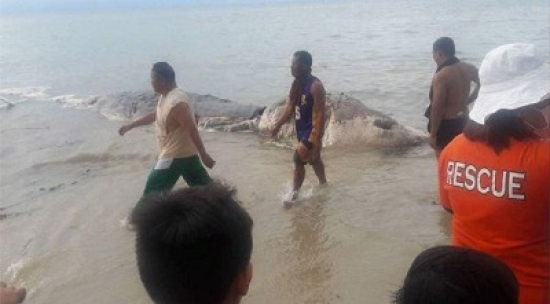 الفلبين: العثور على مخلوق بحري غريب